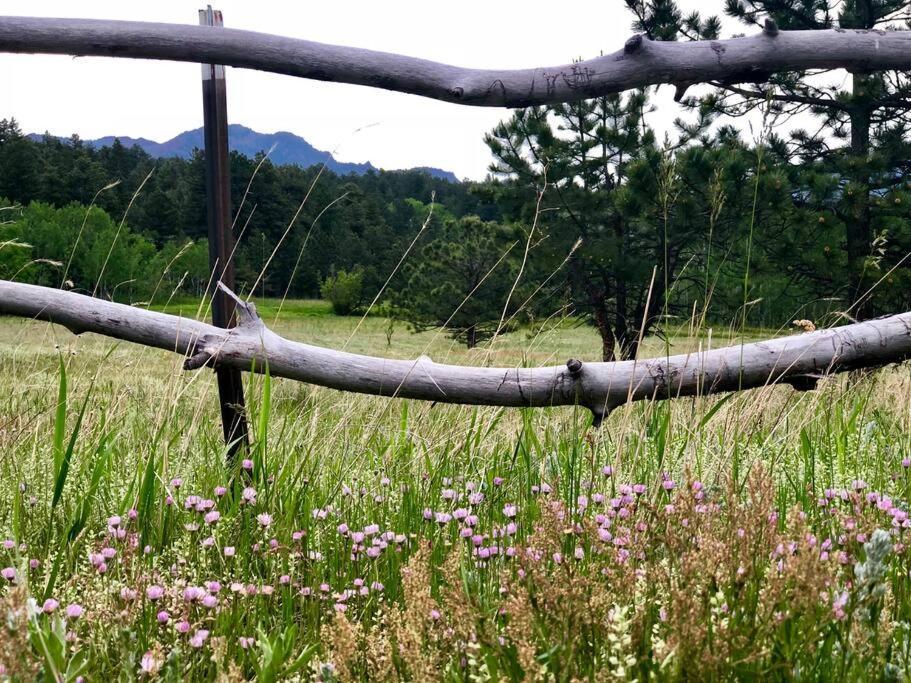 Boulder Best City And Nature With Lake And Trails Pets Ok Ngoại thất bức ảnh