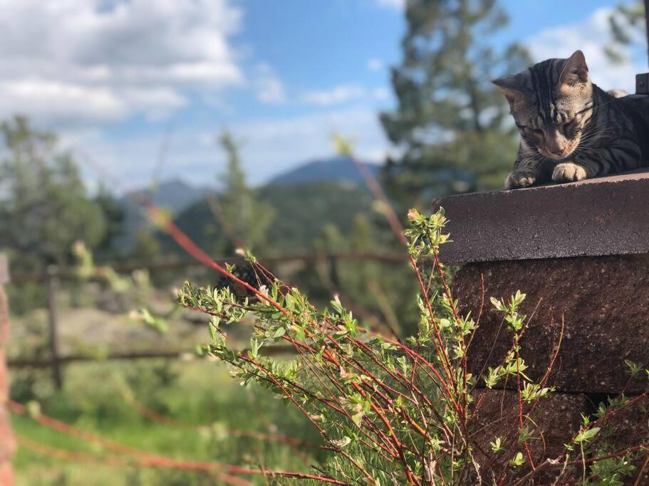 Boulder Best City And Nature With Lake And Trails Pets Ok Ngoại thất bức ảnh