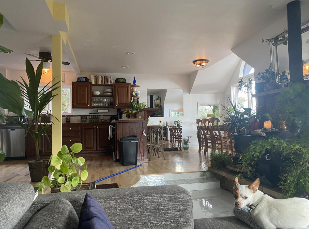 Boulder Best City And Nature With Lake And Trails Pets Ok Ngoại thất bức ảnh